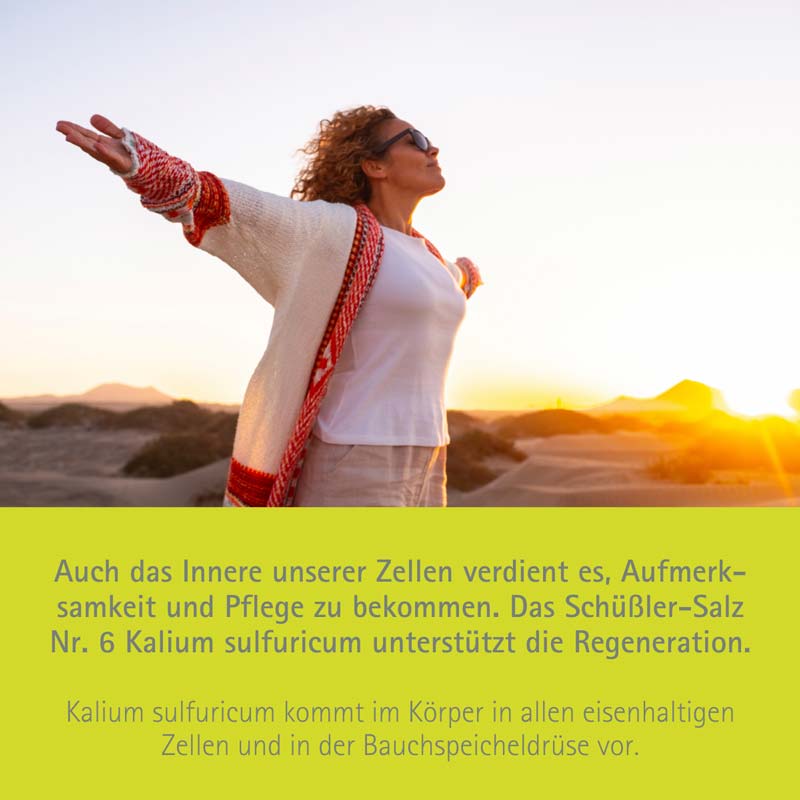 Schüßler-Salz Nr. 6 Kalium sulfuricum D6 15 g Globuli