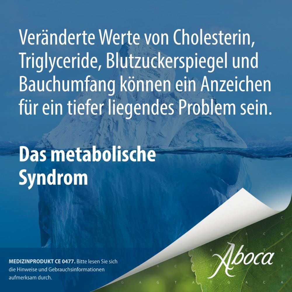 Metarecod 40X2.5 g Granulat