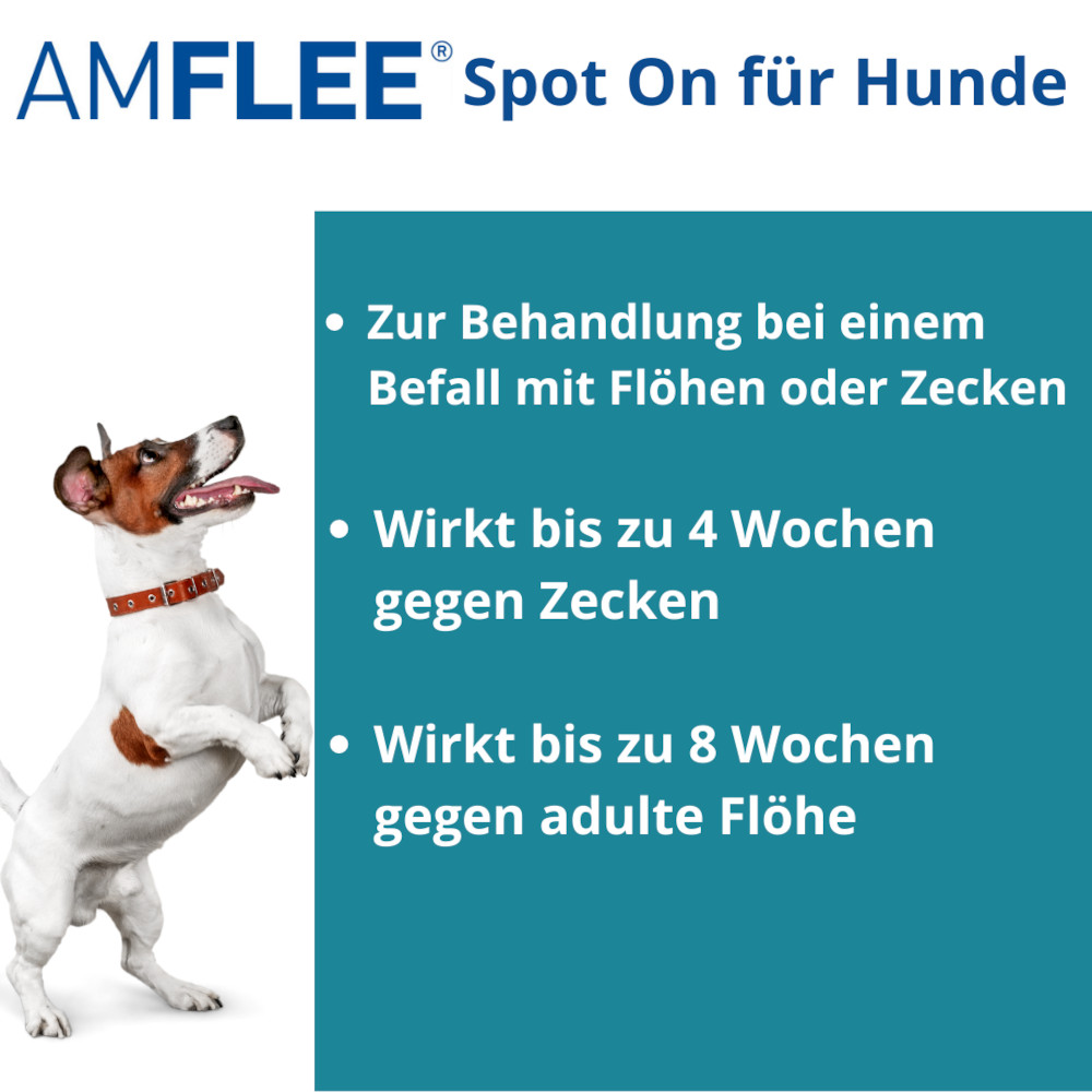 Amflee 134mg Lösung zum Auftropfen für mittelgroße Hunde 3 St Lösung