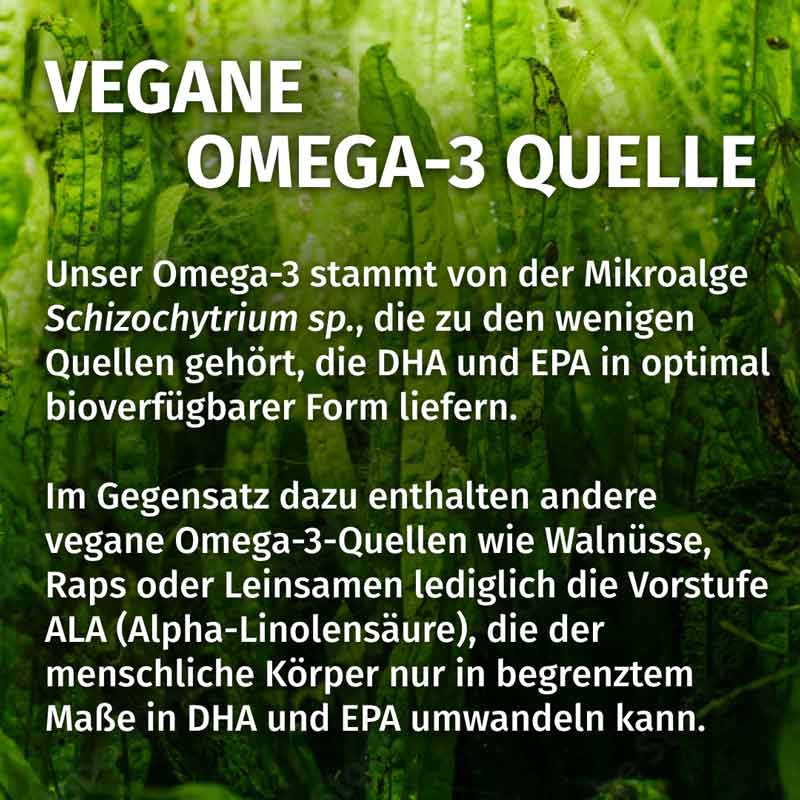 GREEN NATURALS OMEGA-3 80 St Kapseln