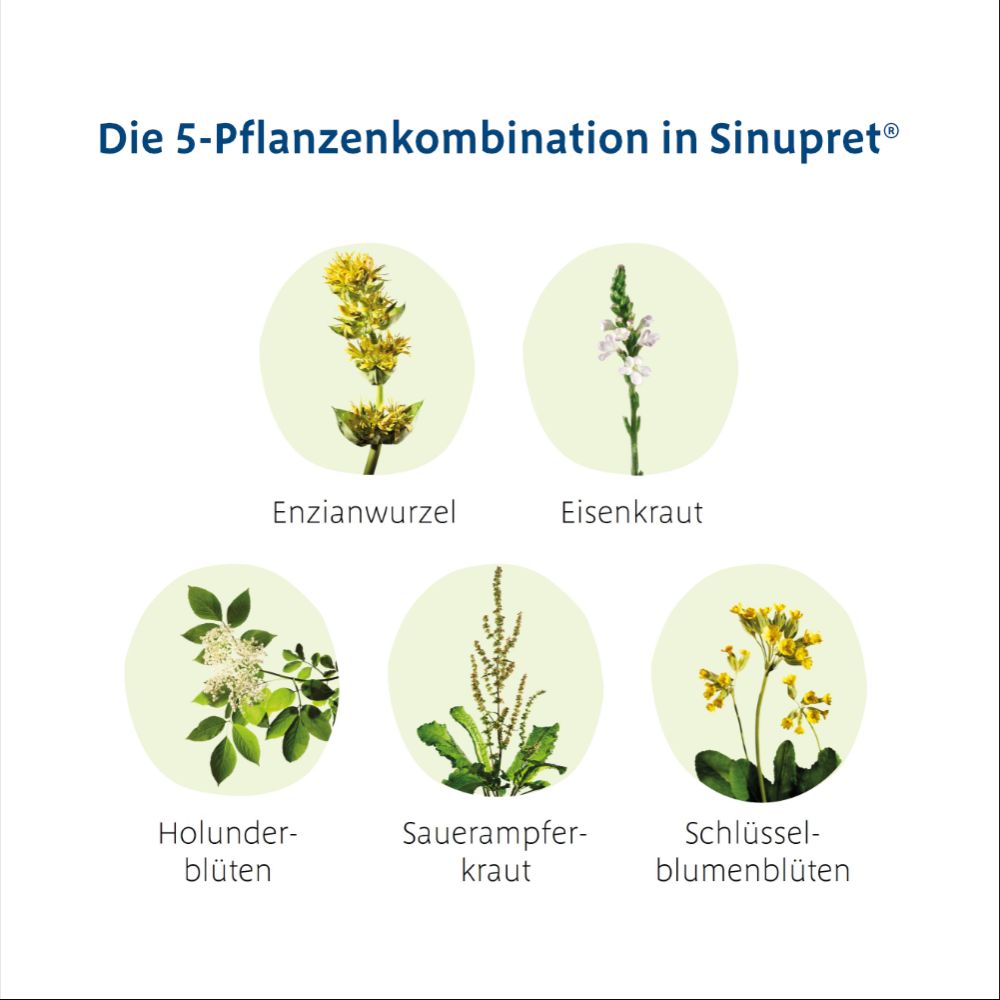 Sinupret 2X100 ml Tropfen