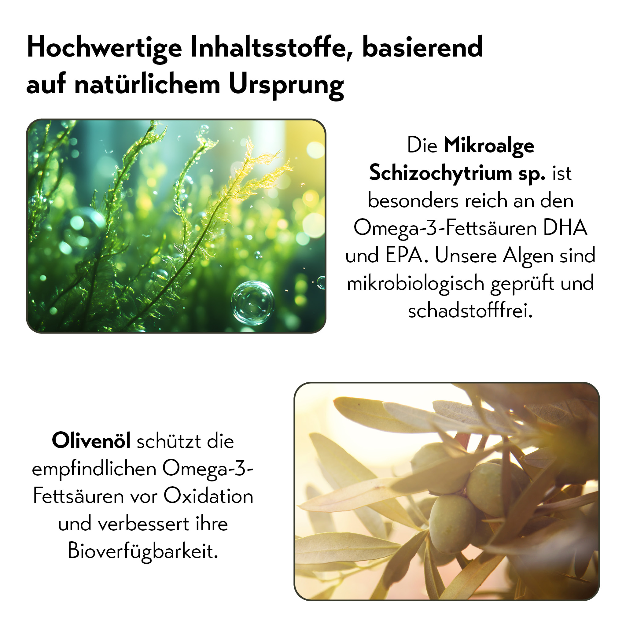 pureSGP OMEGA-3ÖL FORTE 100 ml Tropfen