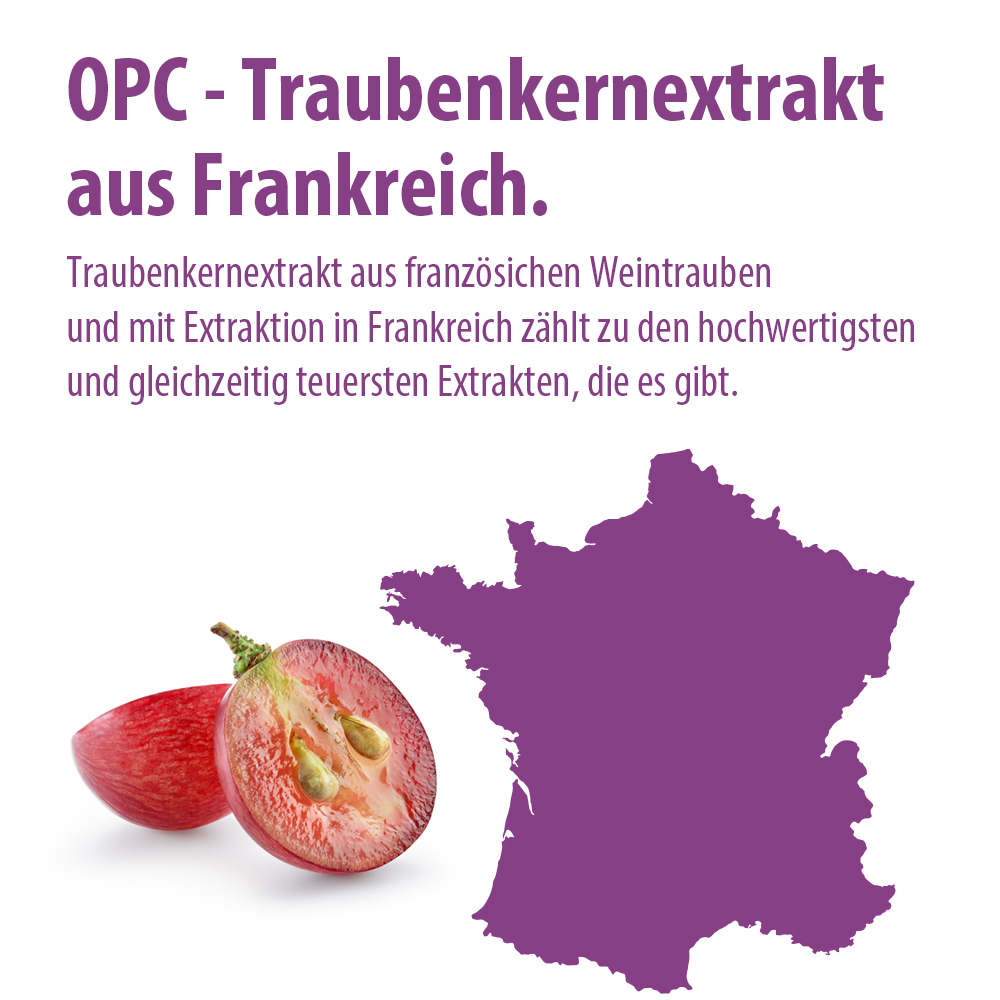 OPC Traubenkernextrakt 60 St Kapseln