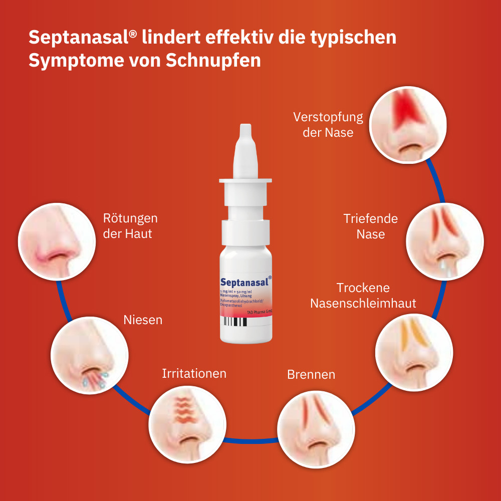 SEPTANASAL 1 mg/ml + 50 mg/ml Nasenspray 10 ml Nasenspray
