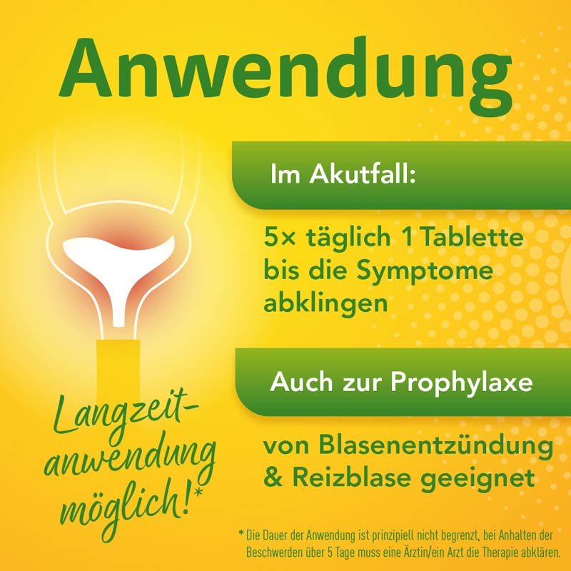 Solidago Aristo 300mg Tabletten  100 St Tabletten