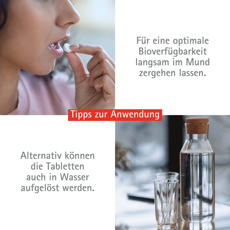 Schüßler-Salz Nr. 10 Natrium sulfuricum D6 100 St Tabletten