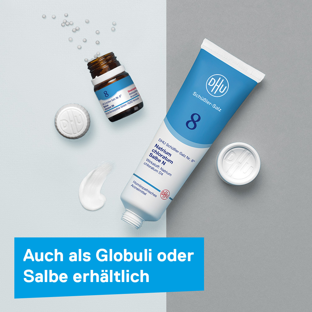 DHU Schüßler-Salz Nr. 8 Natrium chloratum D6 900 St Tabletten