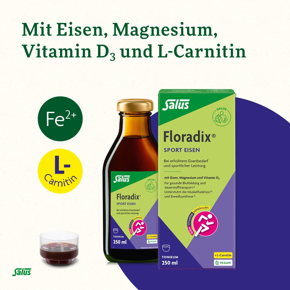 Floradix Sport Eisen 250 ml Tonikum
