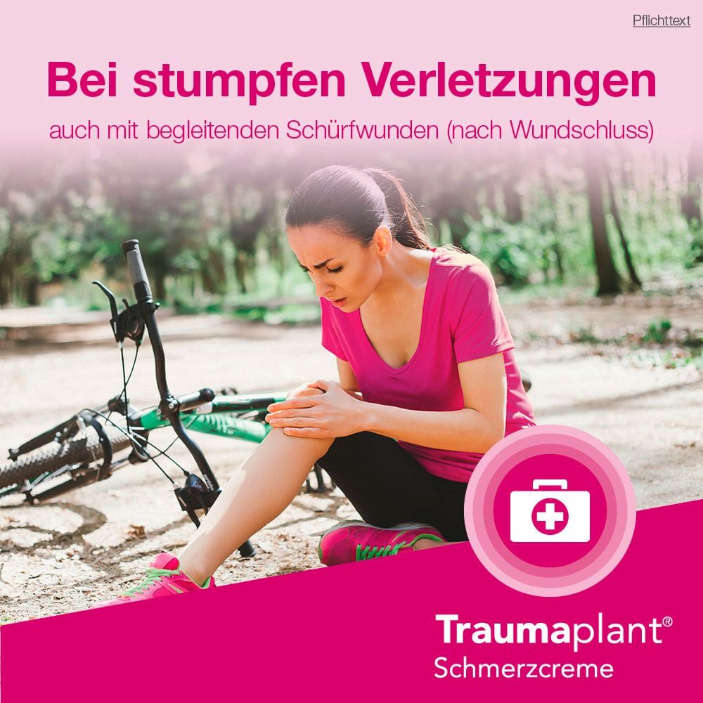Traumaplant Schmerzcreme 100 g Creme