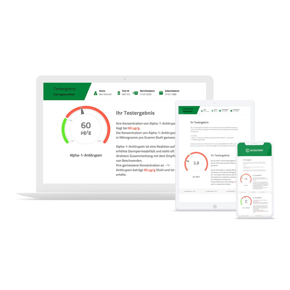 cerascreen Darmgesundheits Test 1 St Test