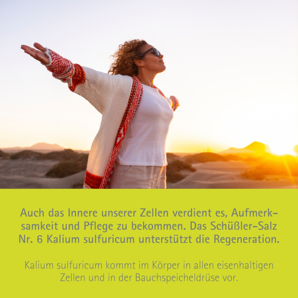 Schüßler-Salz Nr. 6 Kalium sulfuricum D6 1000 St Tabletten