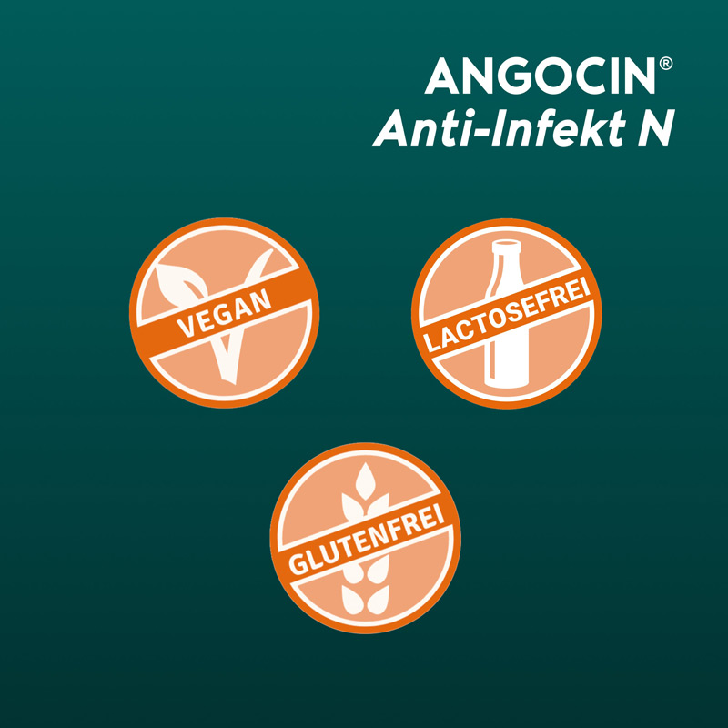 ANGOCIN Anti-Infekt N 60 St Filmtabletten
