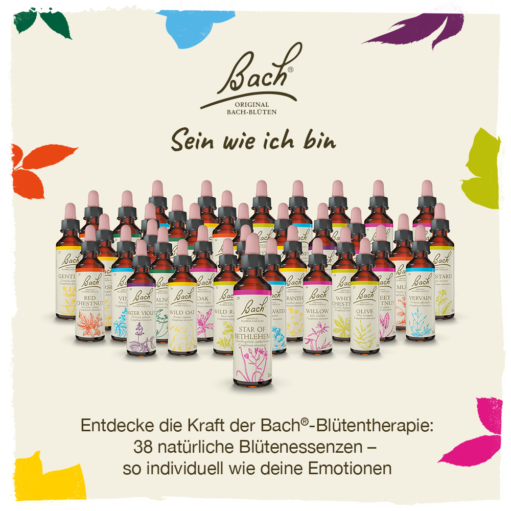 BACHBLÜTEN Original Honeysuckle Nr.16 20 ml Tropfen