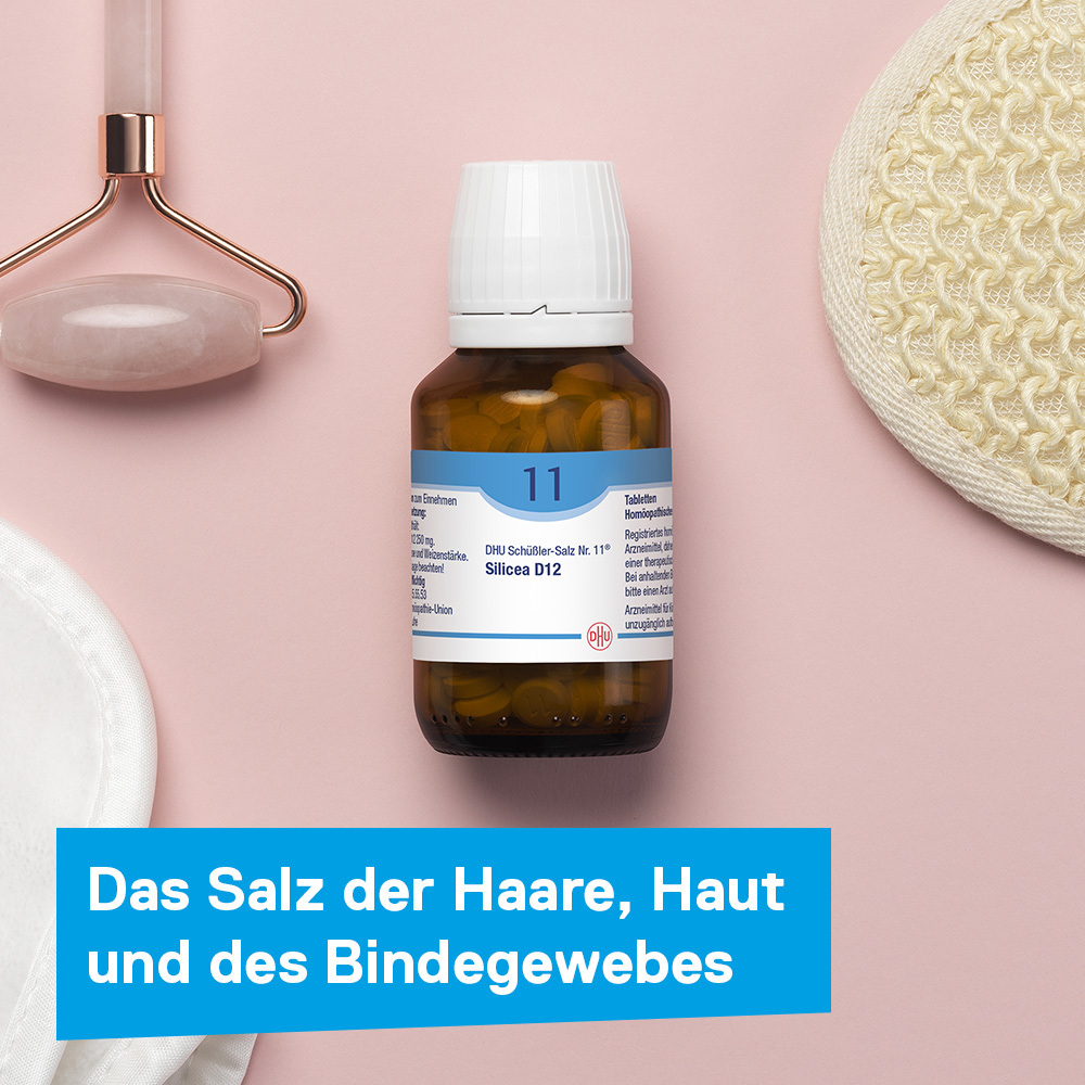 DHU Schüßler-Salz Nr. 11 Silicea D12 420 St Tabletten