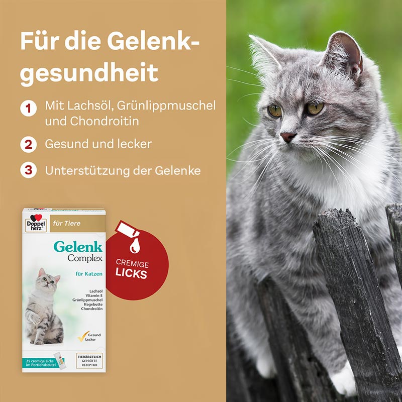 Doppelherz Gelenk Complex für Katzen 25 St Paste
