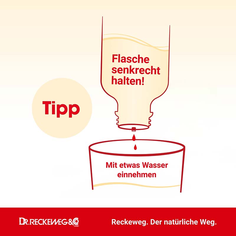 PROSTATA GASTREU N R 25 Tropfen zum Einnehmen 50 ml Mischung
