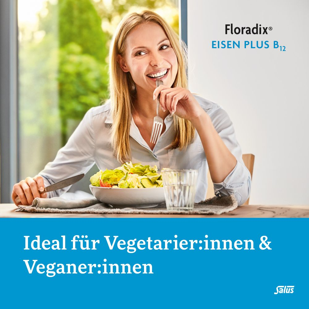 Floradix Eisen Plus B12 Tonikum 250 ml Tonikum