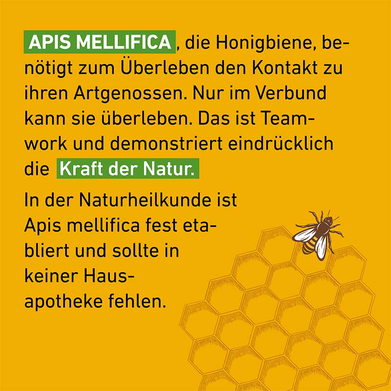Apis mellifica D12 Globuli Pflüger 10 g Globuli