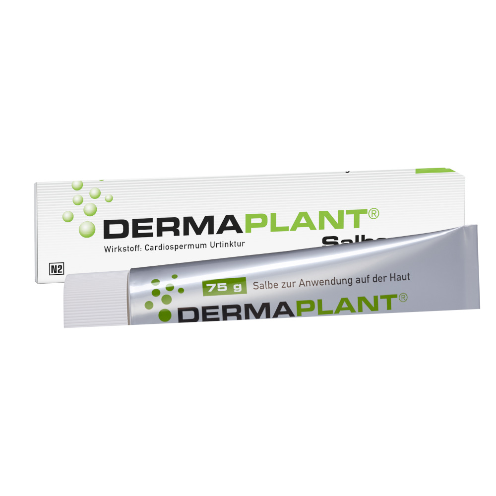 DERMAPLANT Salbe 75 g Salbe
