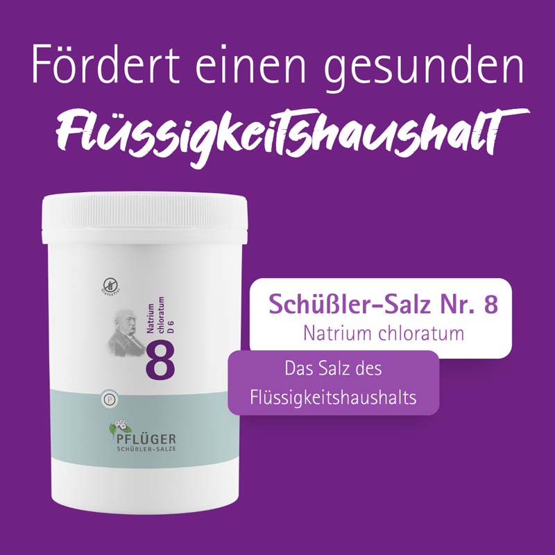 Schüßler-Salz Nr. 8 Natrium chloratum D6 4000 St Tabletten