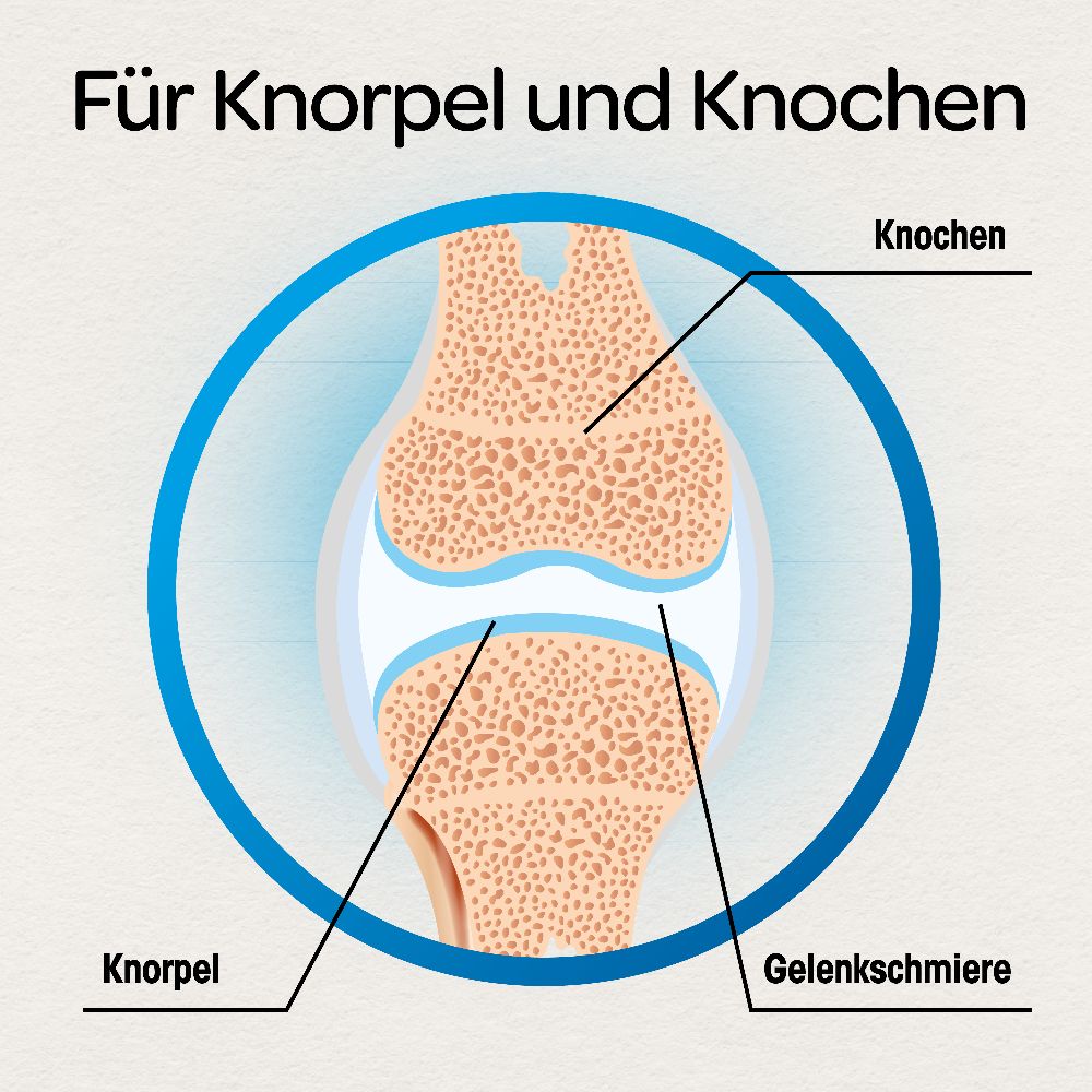 Dr. Böhm Knorpel & Knochen 120 St Tabletten