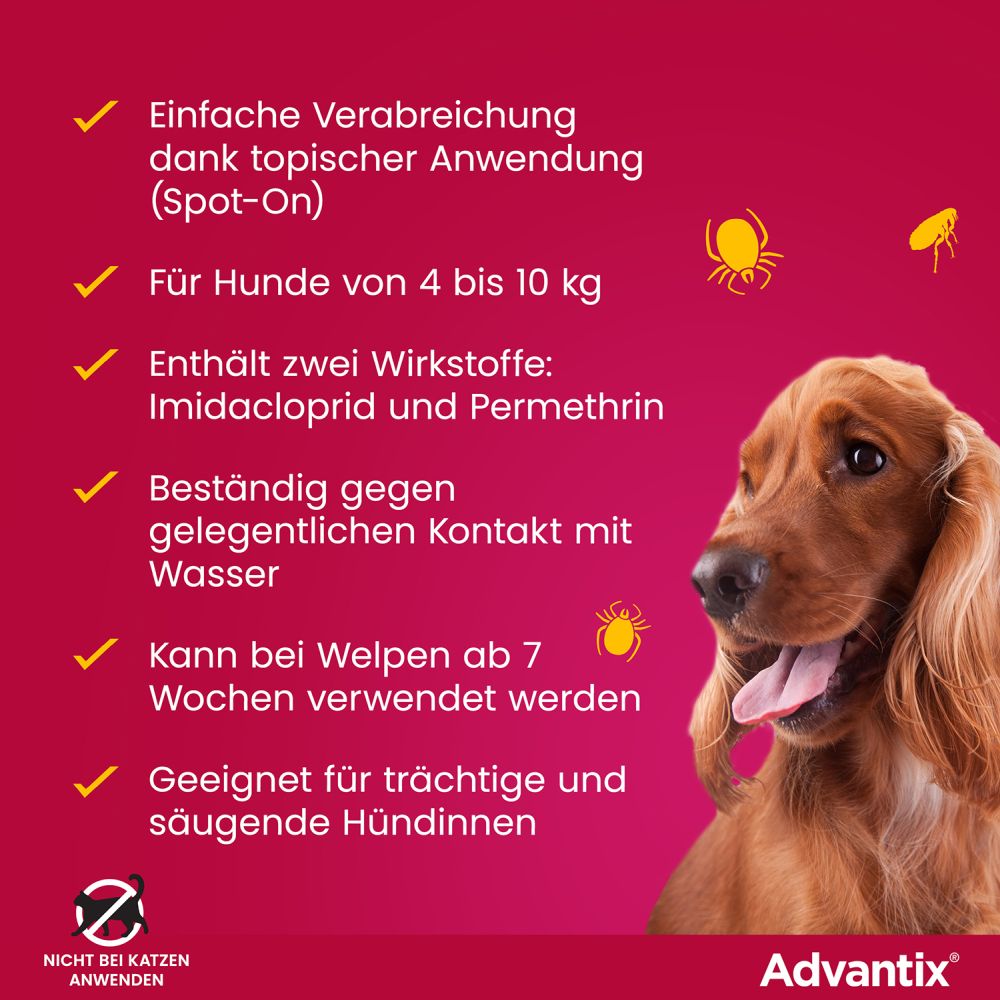 ADVANTIX SPOT-ON HUND 4-10KG 4 St Lösung