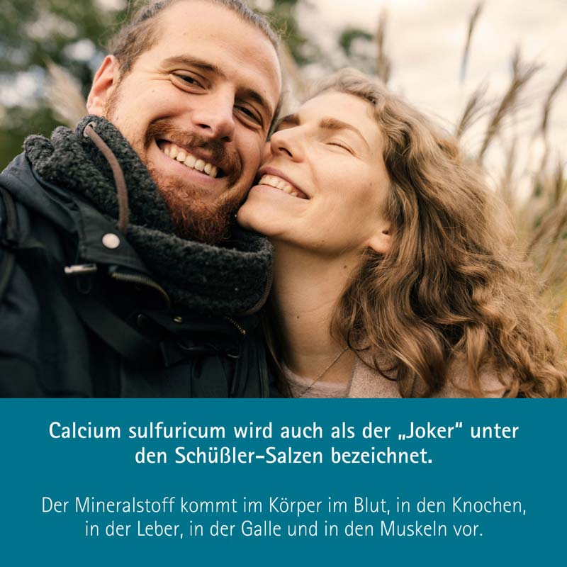 Schüßler-Salz Nr. 12 Calcium sulfuricum D6 100 g Pulver
