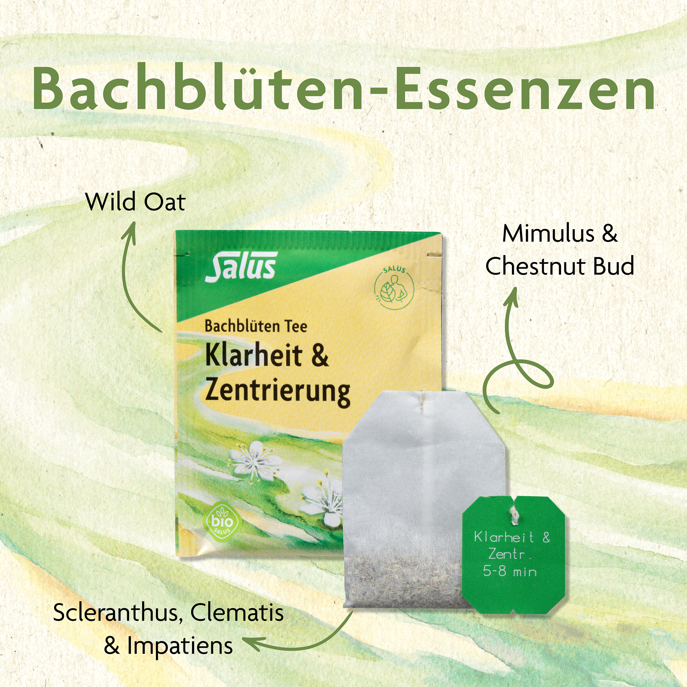 Salus Bachblüten Tee Klarheit & Zentrierung 15 St Filterbeutel