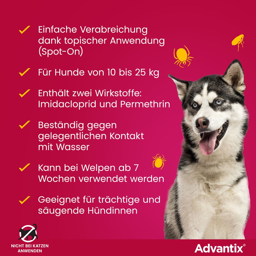 ADVANTIX SPOT-ON HUND 10-25KG 4 St Lösung