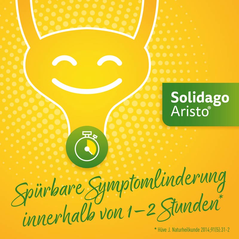 Solidago Aristo 300mg Tabletten  60 St Tabletten