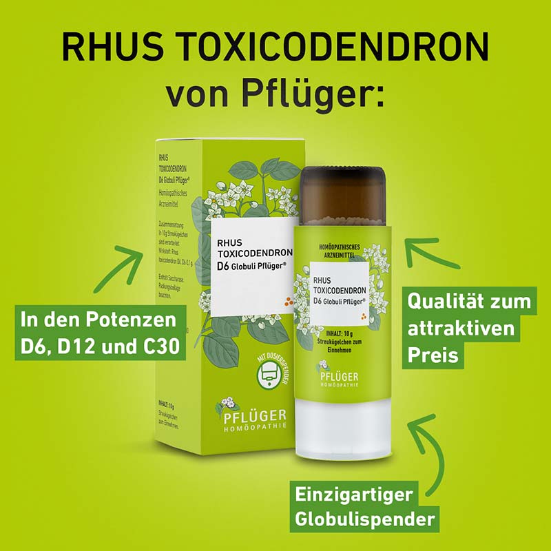 RHUS TOXICODENDRON D6 Globuli Pflüger 10 g Globuli