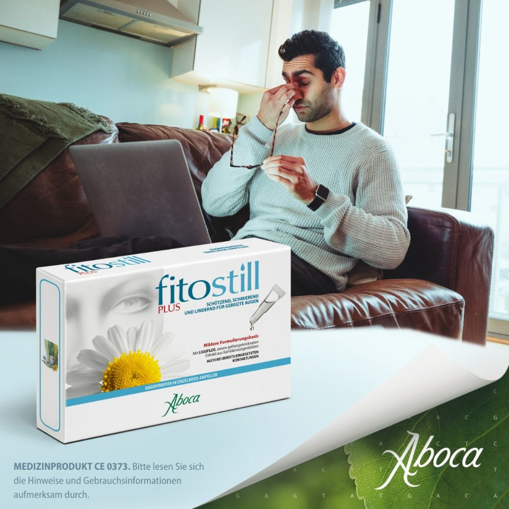 fitostill PLUS bei geröteten und überanstrengten Augen 10X0.5 ml Augentropfen