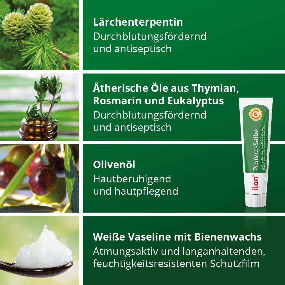 ILON Protect Salbe 100 ml Salbe