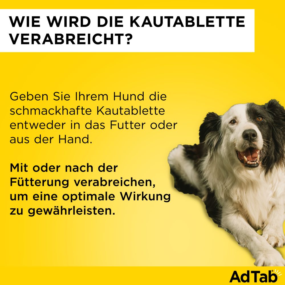 ADTAB 112MG HUND 2.5-5.5KG 3 St Kautabletten