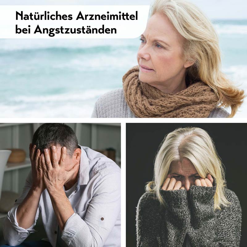 MELISTON 40 St Tabletten