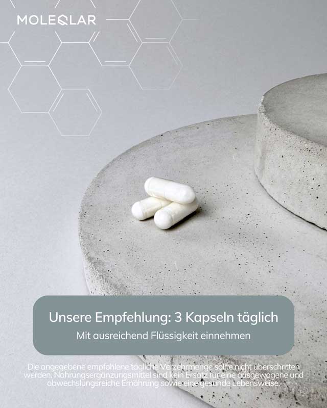 MOLEQLAR LONGEVITY Magtein MAGNESIUM L-THREONATE 90 St Kapseln