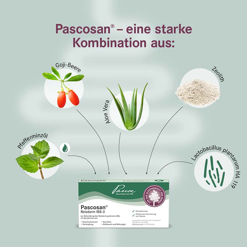 Pascoe Pascosan Reizdarm IBS-3 30 St Tabletten