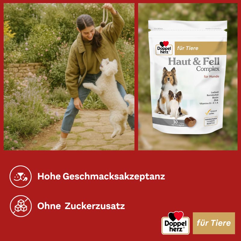Doppelherz Haut & Fell Complex für Hunde 30 St Kautabletten
