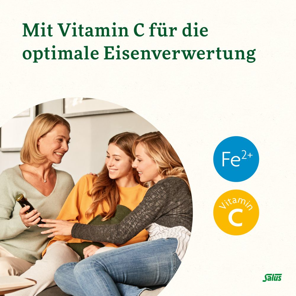 Floradix Eisen Plus B12 Tonikum 250 ml Tonikum