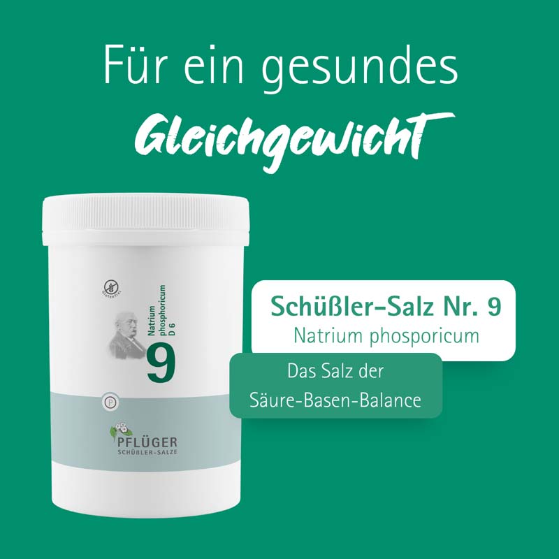 Schüßler-Salz Nr. 9 Natrium phosphoricum D6 4000 St Tabletten