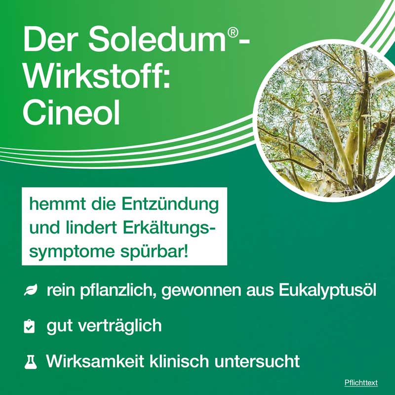 Soledum 100mg 100 St Kapseln magensaftresistent