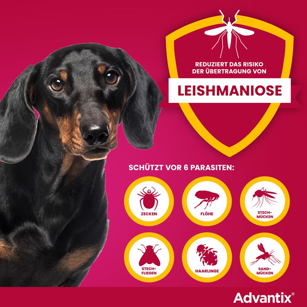 ADVANTIX SPOT-ON HUND 4-10KG 4 St Lösung