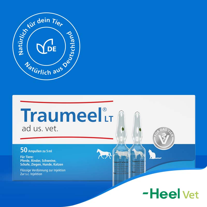 TRAUMEEL LT ad us.vet.Ampullen 50X5 ml Ampullen