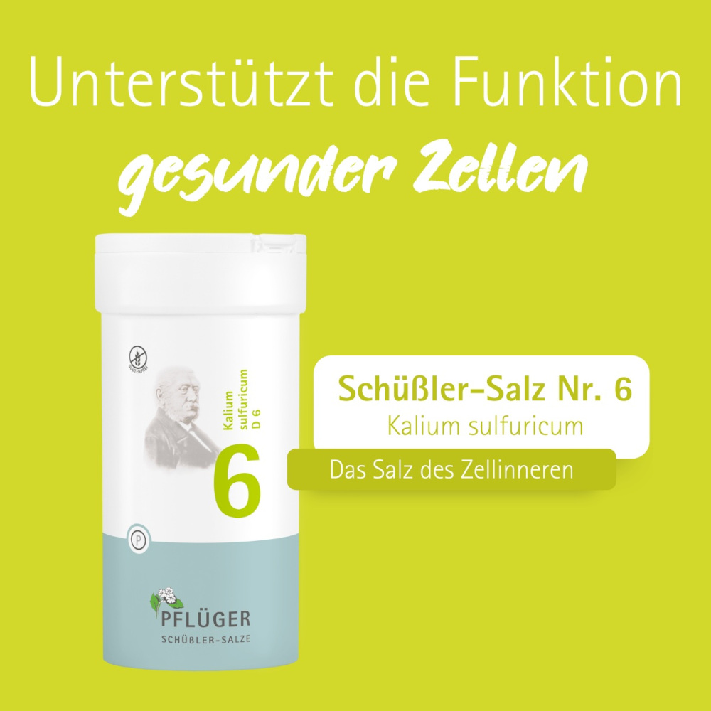 Schüßler-Salz Nr. 6 Kalium sulfuricum D6 1000 St Tabletten