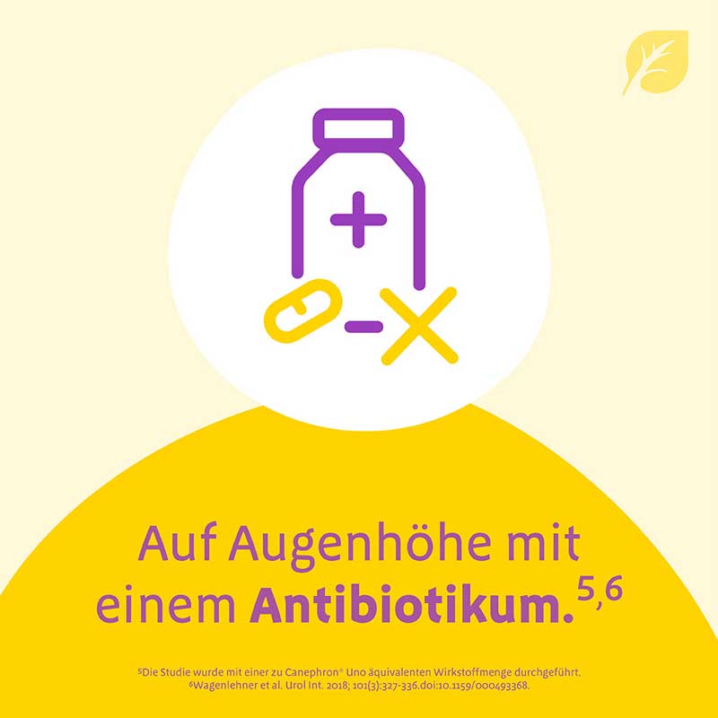 Canephron Uno  90 St Überzogene Tabletten