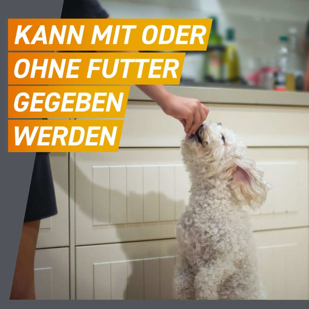 FRONTPRO Kautabletten Hunde >10 - 25 kg Doppelpack 2X3 St Kautabletten