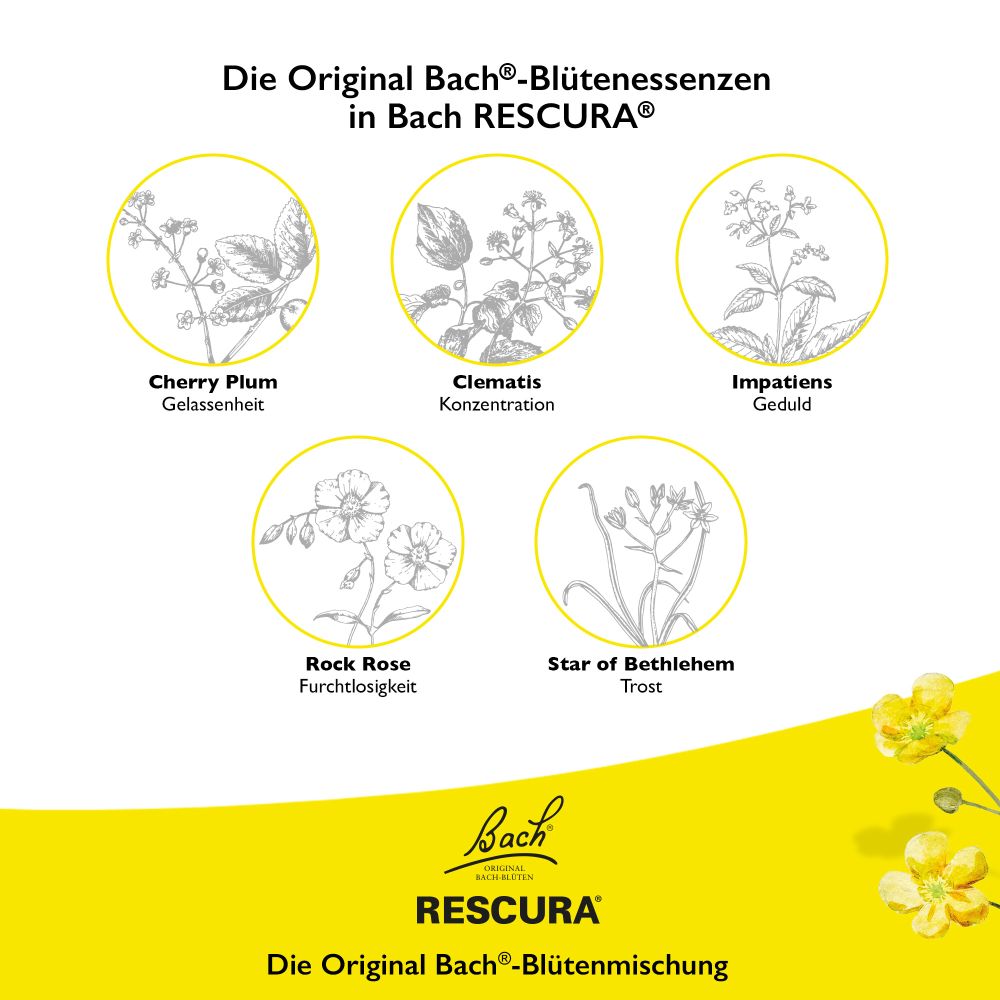 Bach RESCURA NIGHT PASTILLEN schwarze Johannisbeere 50 g Pastillen