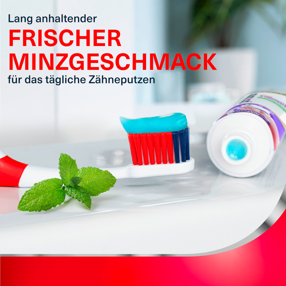parodontax ZAHNFLEISCH STÄRKUNG & SCHUTZ 75 ml Zahnpasta