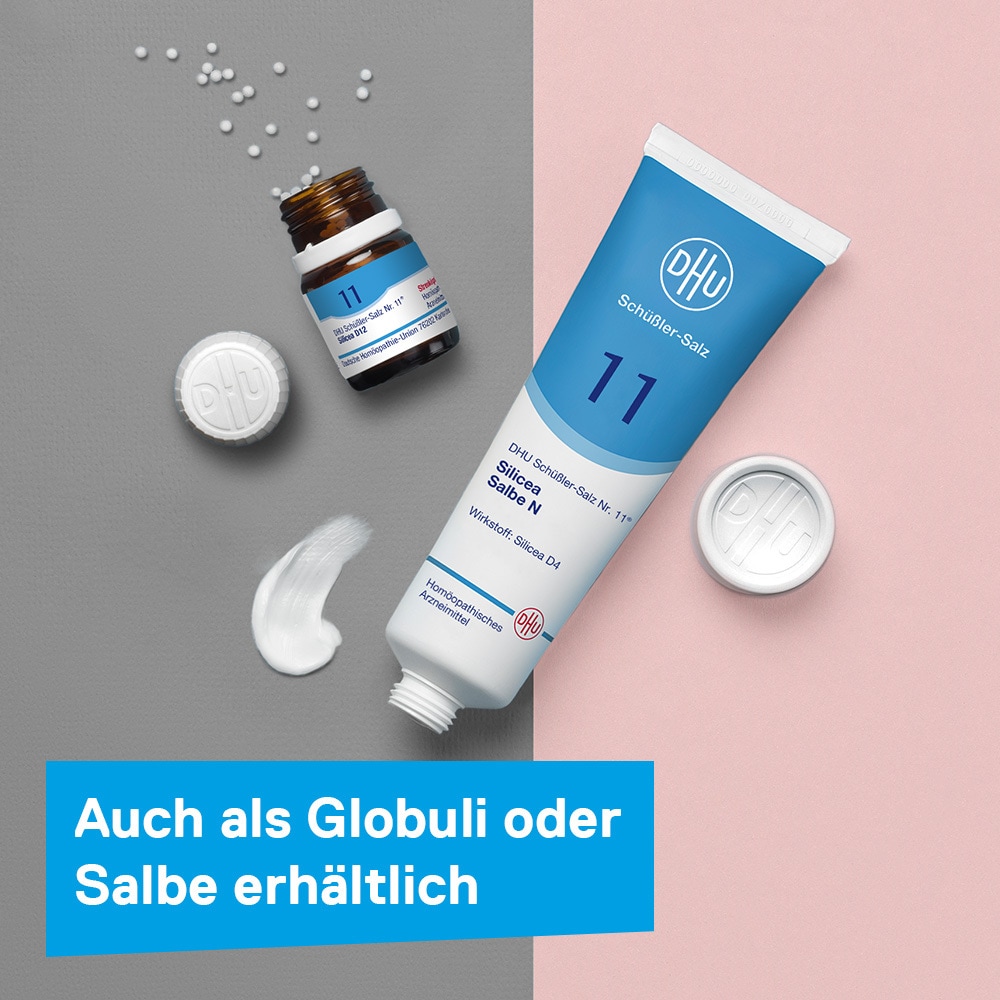 DHU Schüßler-Salz Nr. 11 Silicea D12 200 St Tabletten