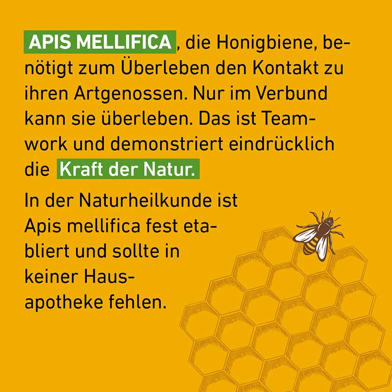 Apis mellifica D6 Globuli Pflüger 10 g Globuli
